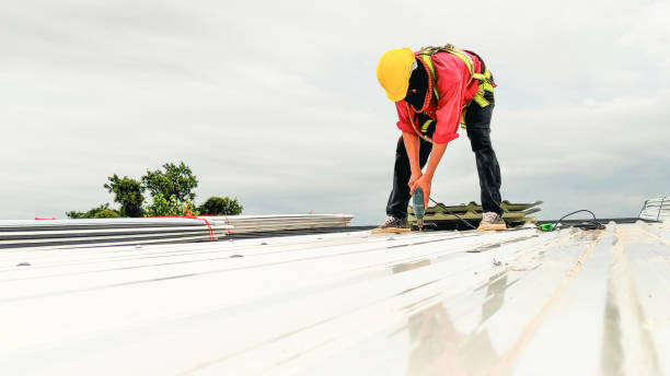 Professional Roof Repair & Installaion in Swoyersville, PA